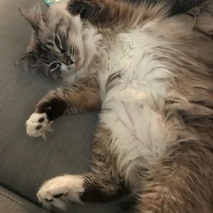 Meet your Posher, James